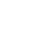 Coaching Ontológico